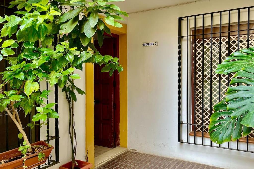 Apartamento Kenza Кордоба Екстериор снимка